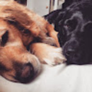 Meet your Posher, Karleigh